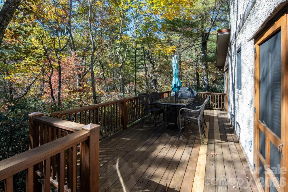 69 Dogwood Branch Lane Zirconia, NC 28790