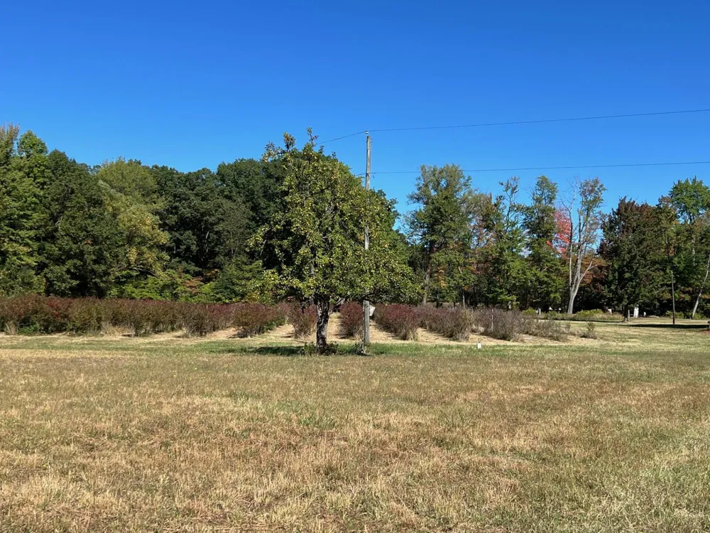 11160 Farina Road New Buffalo, MI 49117