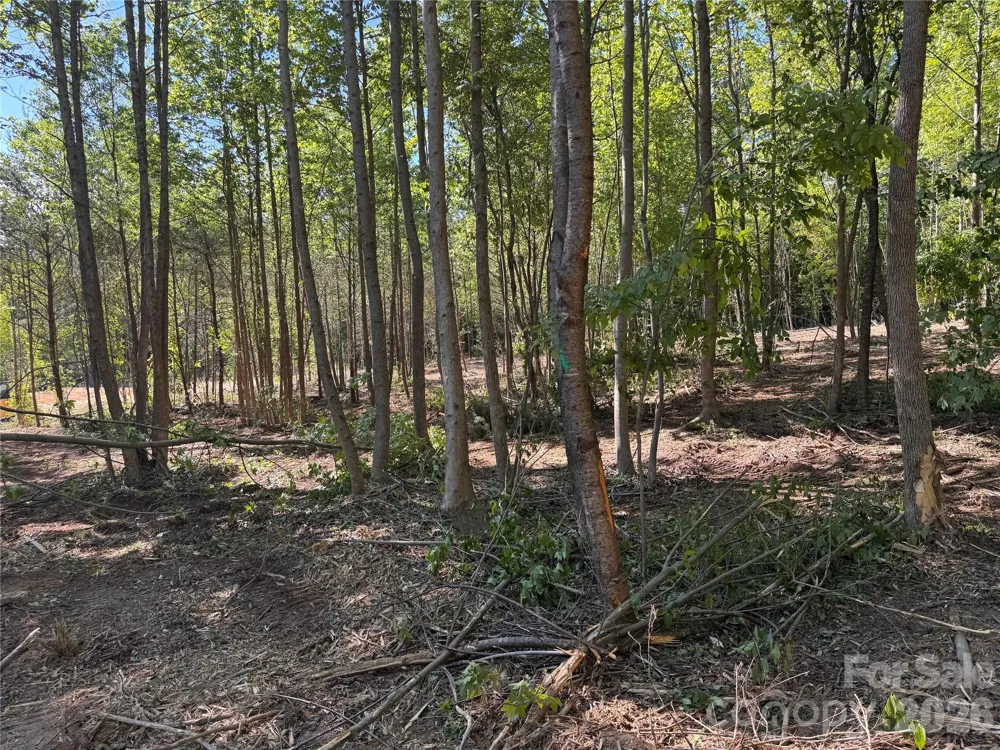 228 Fern Hill Road Troutman, NC 28166