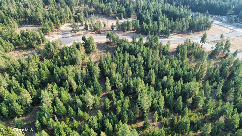 Lt 2 Blk 3 and Lots 1, 2, 4 & 5 Wendland Way Spirit Lake, ID 83869