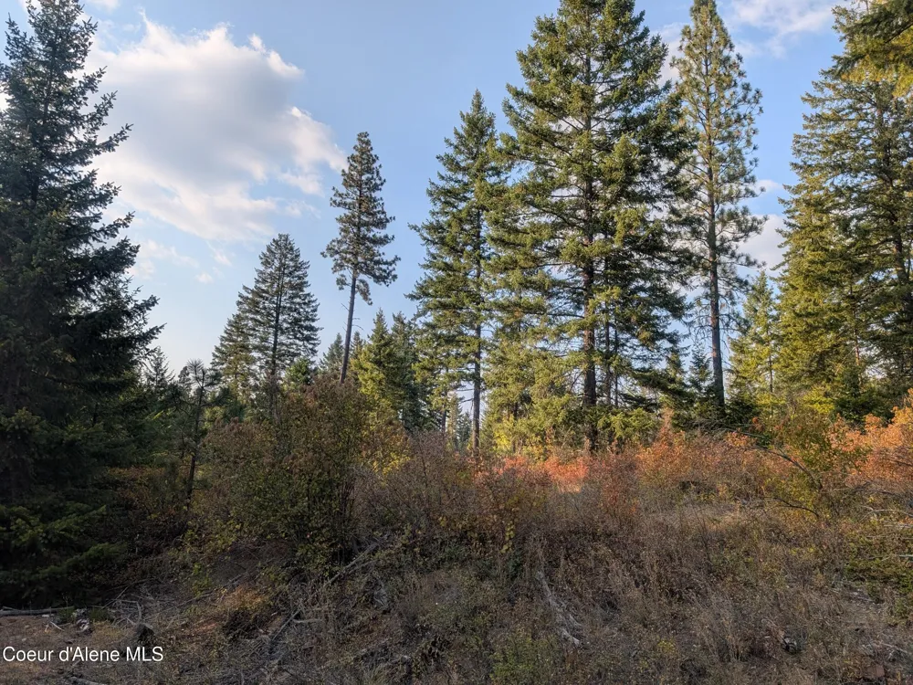 Lt 2 Blk 3 and Lots 1, 2, 4 & 5 Wendland Way Spirit Lake, ID 83869