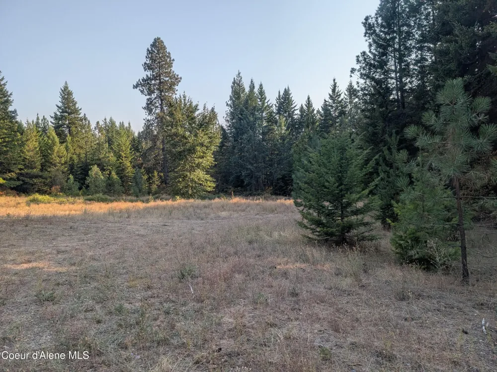 Lt 2 Blk 3 and Lots 1, 2, 4 & 5 Wendland Way Spirit Lake, ID 83869