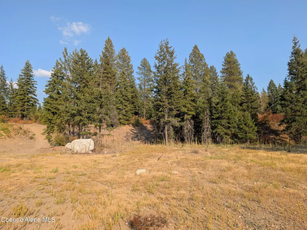 Lt 2 Blk 3 and Lots 1, 2, 4 & 5 Wendland Way Spirit Lake, ID 83869