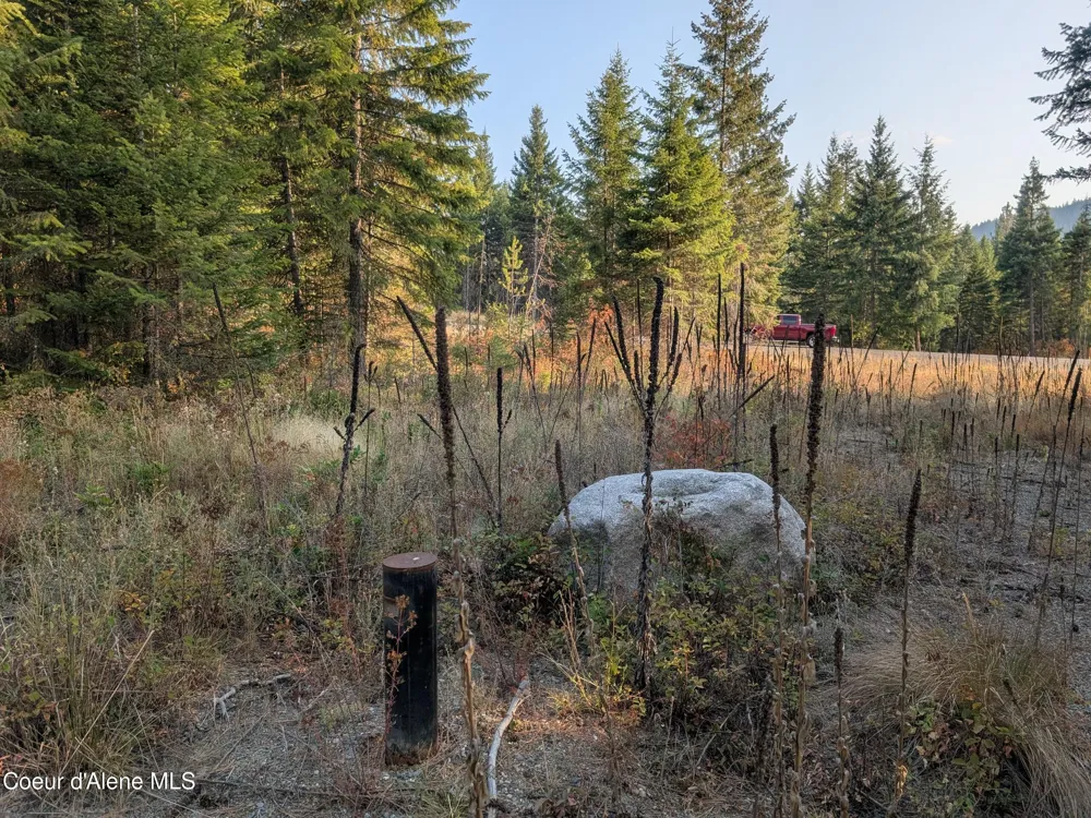 Lt 2 Blk 3 and Lots 1, 2, 4 & 5 Wendland Way Spirit Lake, ID 83869