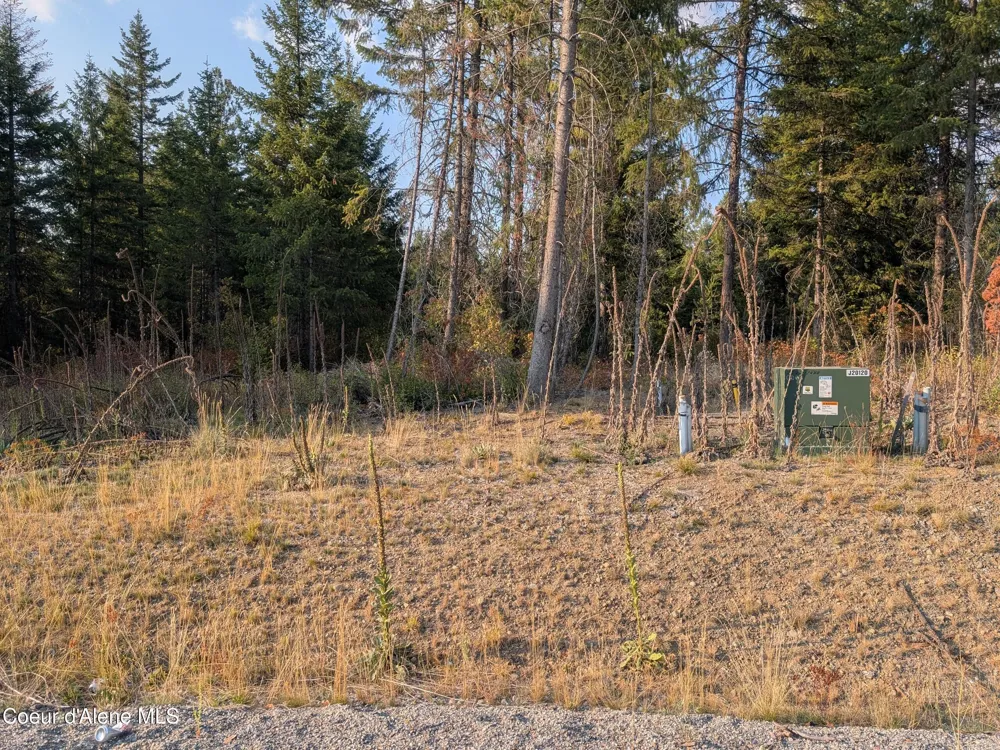 Lt 2 Blk 3 and Lots 1, 2, 4 & 5 Wendland Way Spirit Lake, ID 83869