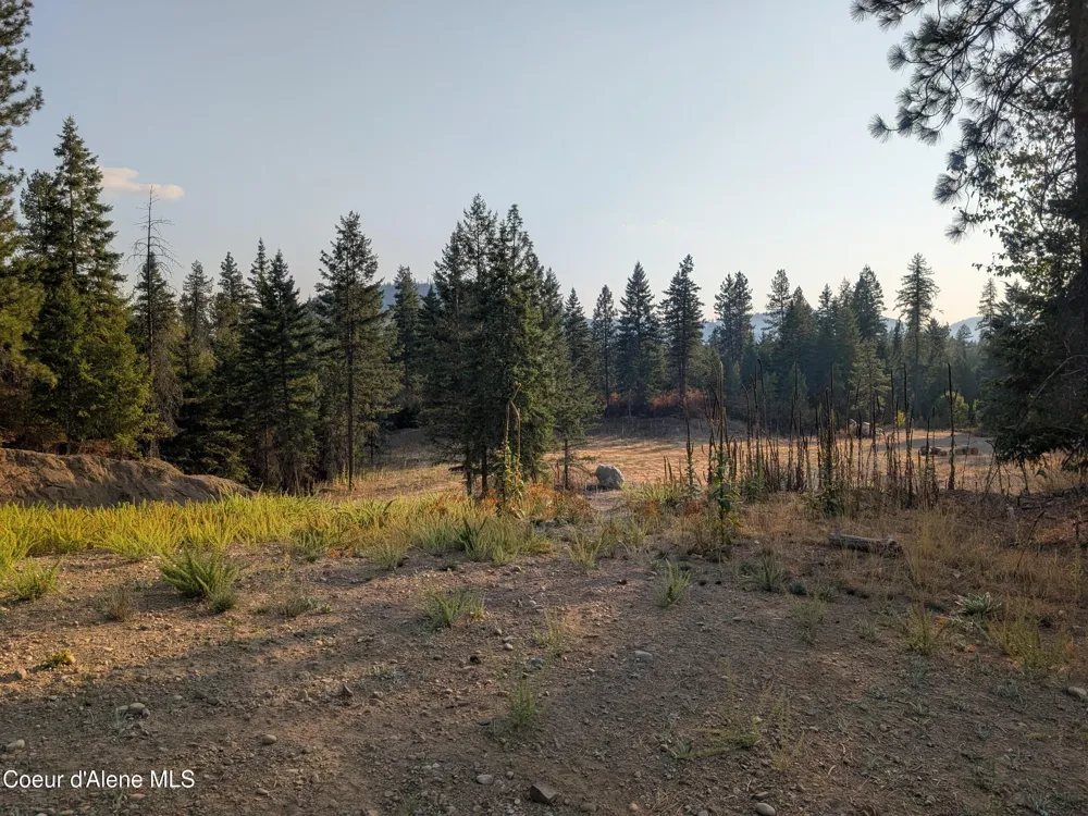 Lt 2 Blk 3 and Lots 1, 2, 4 & 5 Wendland Way Spirit Lake, ID 83869