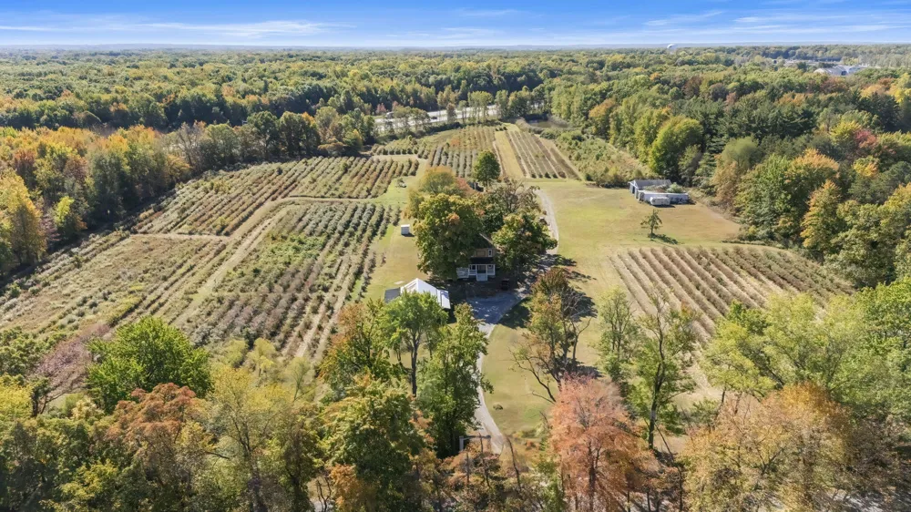11160 Farina Road New Buffalo Township, MI 49117