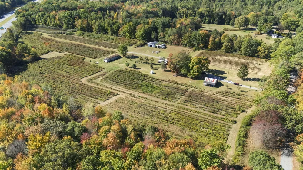11160 Farina Road New Buffalo Township, MI 49117