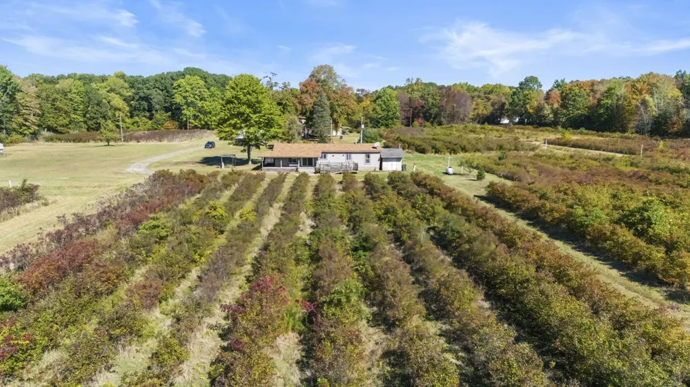 11160 Farina Road New Buffalo Township, MI 49117