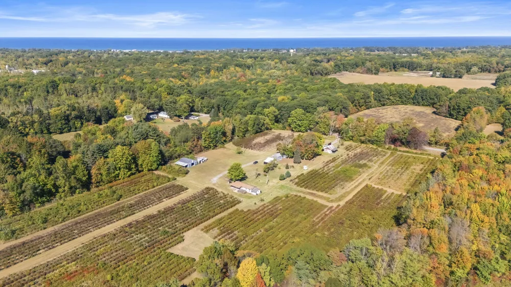 11160 Farina Road New Buffalo Township, MI 49117