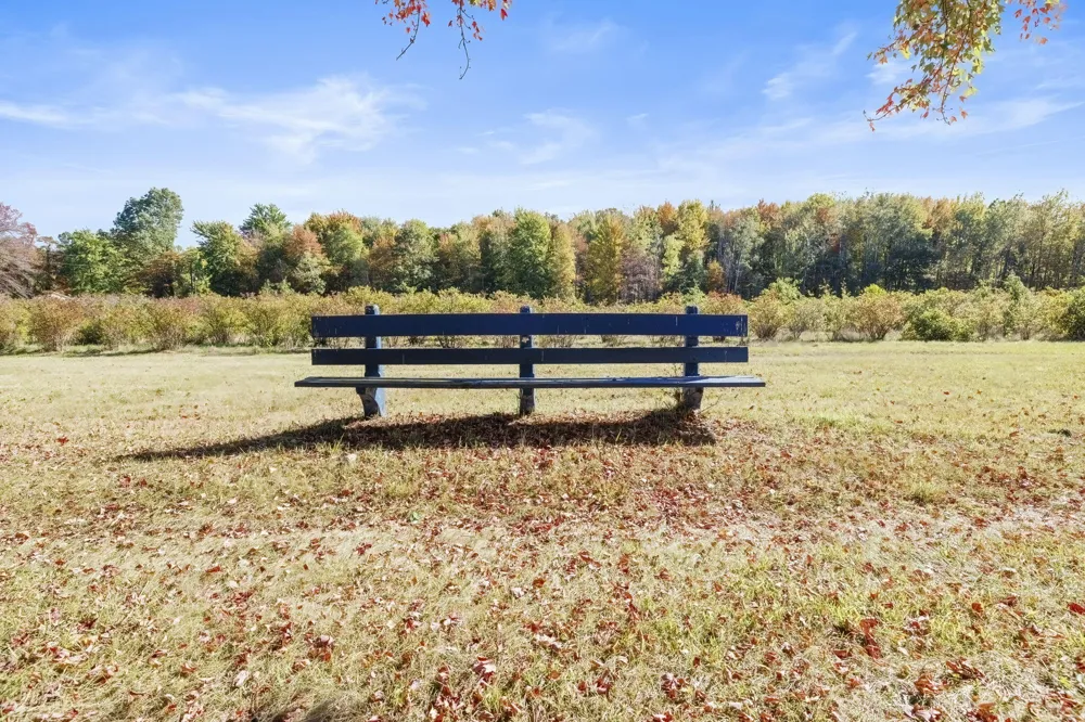 11160 Farina Road New Buffalo Township, MI 49117