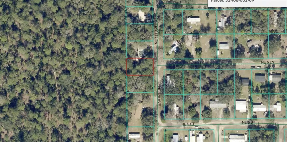 NE 128TH AVENUE Silver Springs, FL 34488