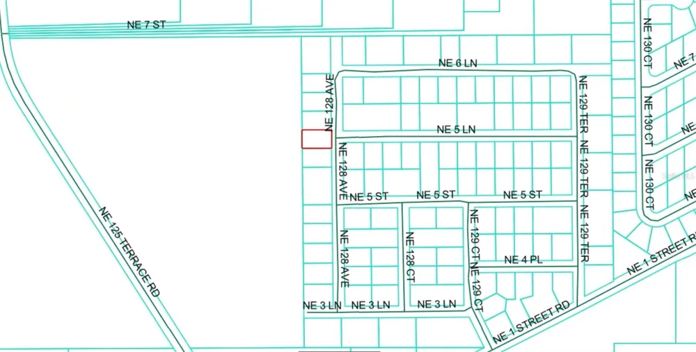 NE 128TH AVENUE Silver Springs, FL 34488
