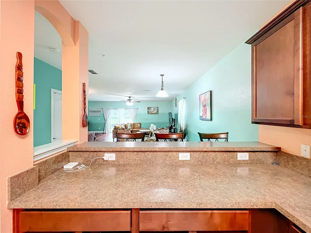 10100 GREEN BRANCH COURT Orlando, FL 32825