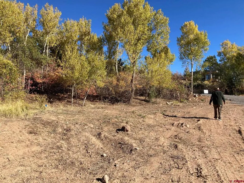 1590 SE 3rd Street Cedaredge, CO 81413