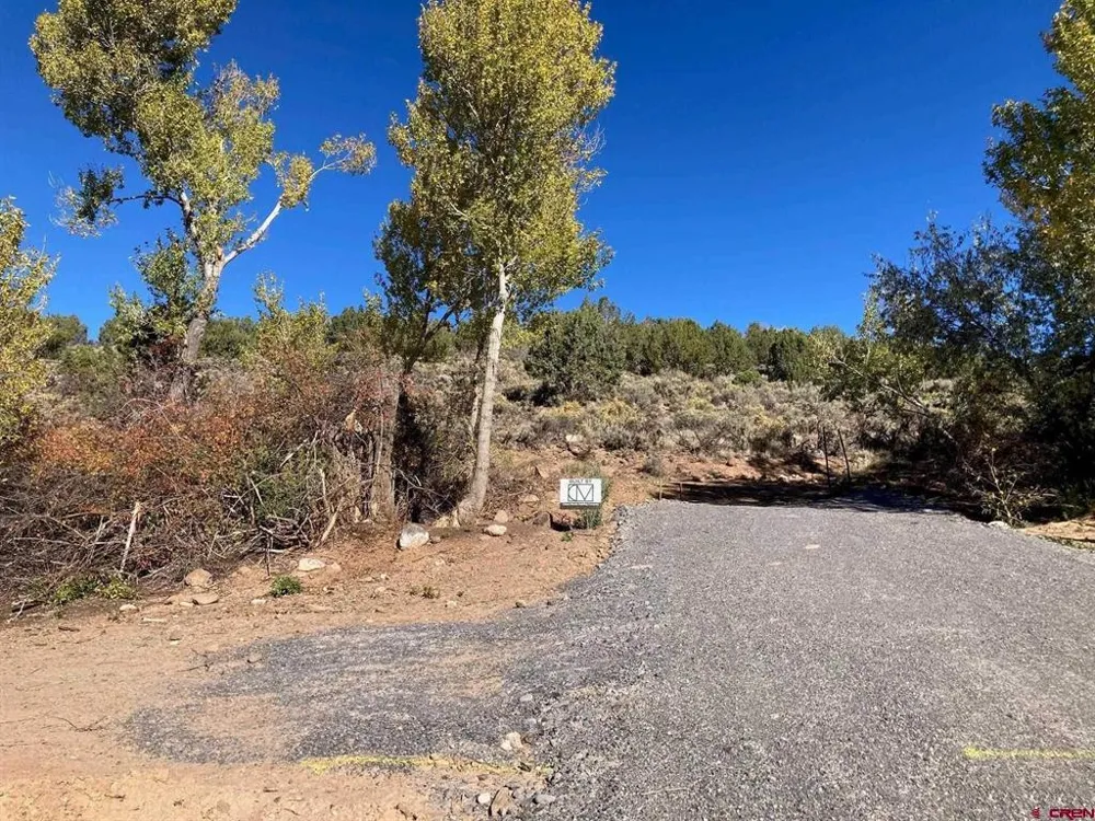 1590 SE 3rd Street Cedaredge, CO 81413