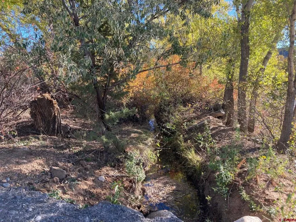 1590 SE 3rd Street Cedaredge, CO 81413