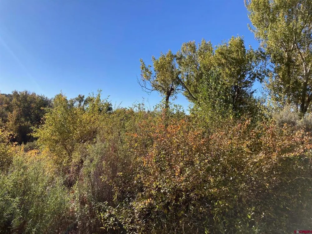 1590 SE 3rd Street Cedaredge, CO 81413