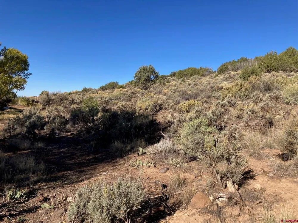 1590 SE 3rd Street Cedaredge, CO 81413