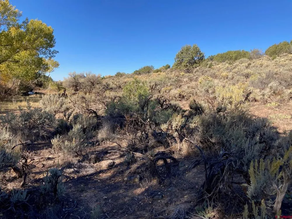 1590 SE 3rd Street Cedaredge, CO 81413