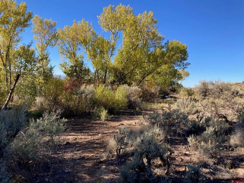 1590 SE 3rd Street Cedaredge, CO 81413