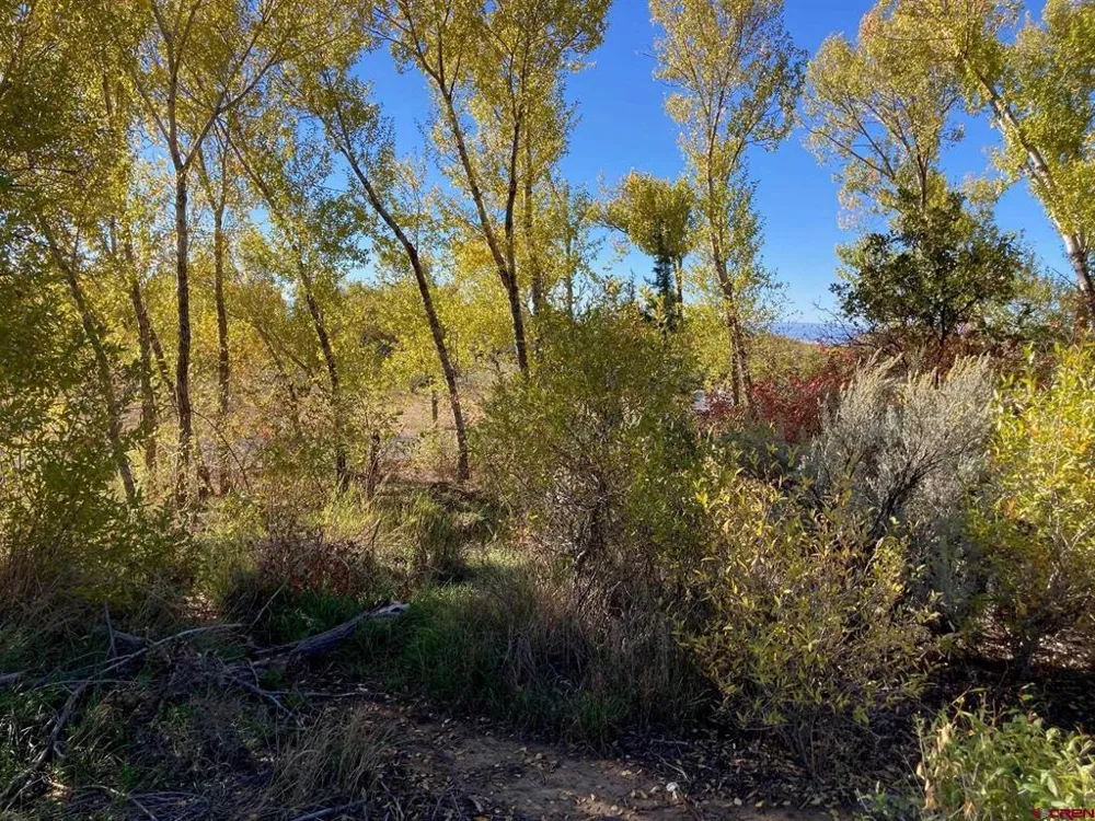 1590 SE 3rd Street Cedaredge, CO 81413