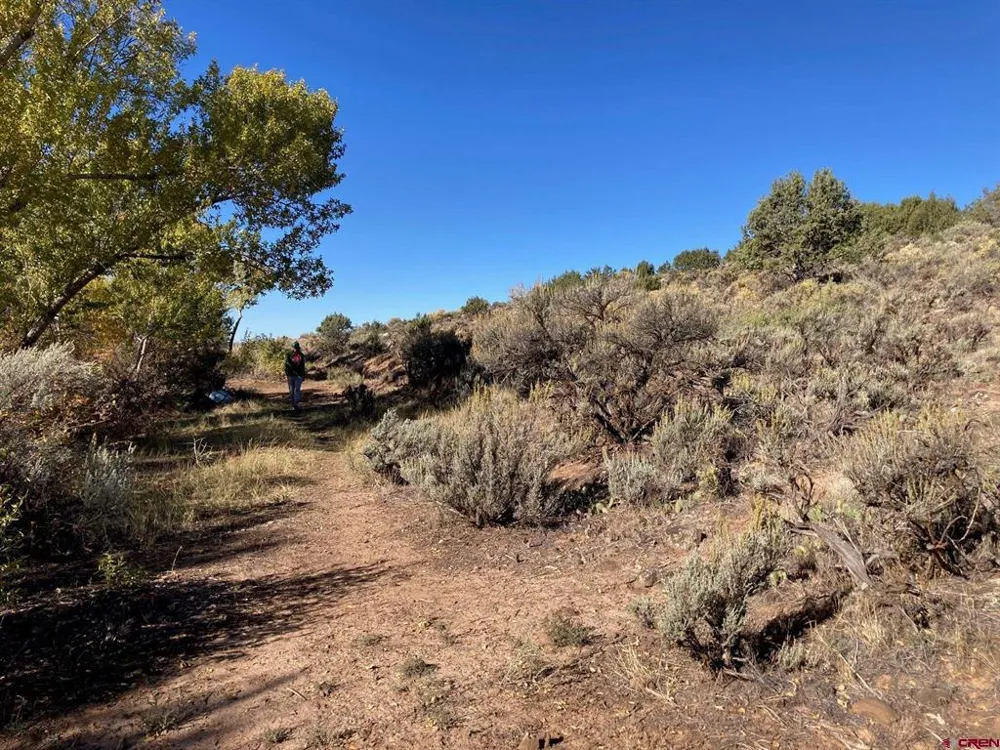 1590 SE 3rd Street Cedaredge, CO 81413