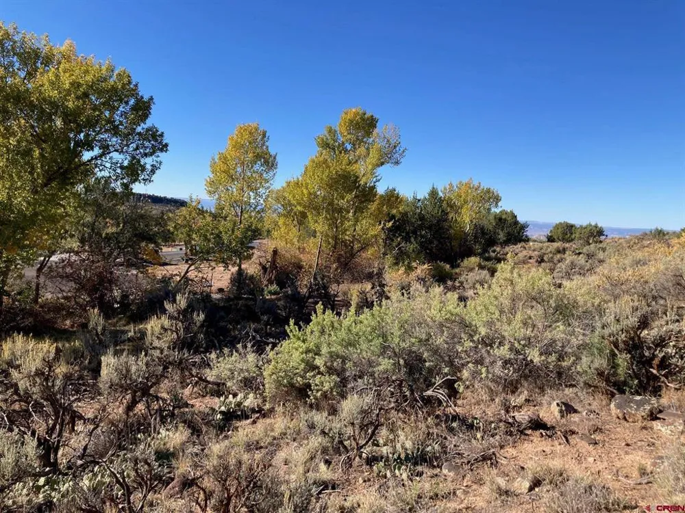 1590 SE 3rd Street Cedaredge, CO 81413