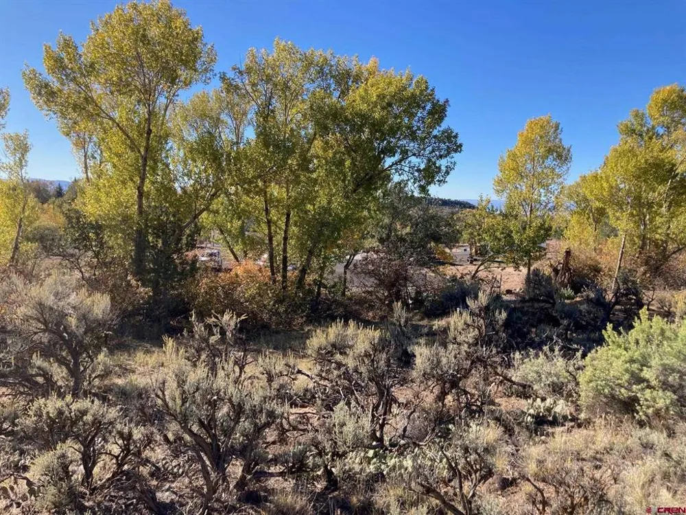 1590 SE 3rd Street Cedaredge, CO 81413