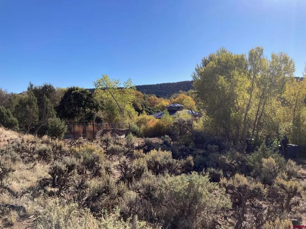 1590 SE 3rd Street Cedaredge, CO 81413