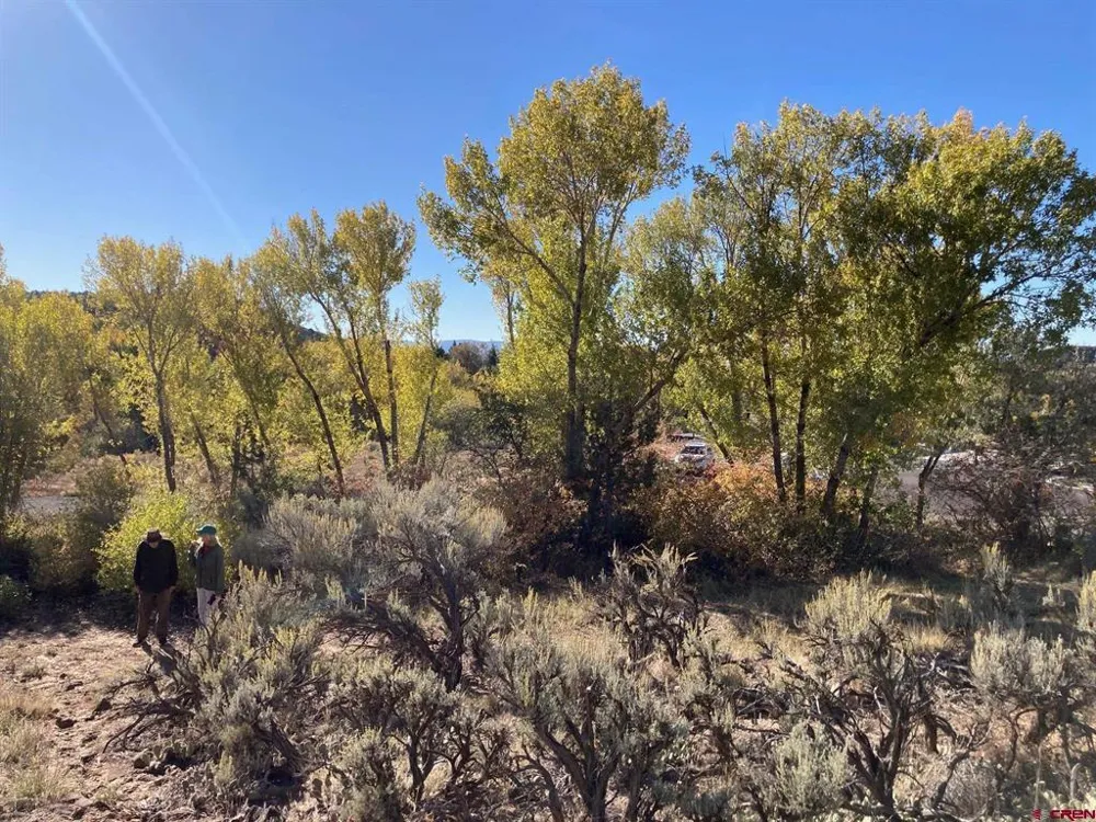 1590 SE 3rd Street Cedaredge, CO 81413