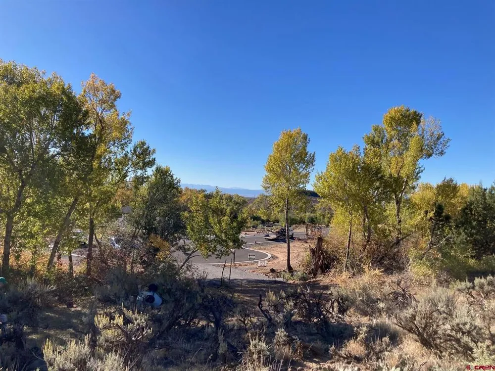 1590 SE 3rd Street Cedaredge, CO 81413
