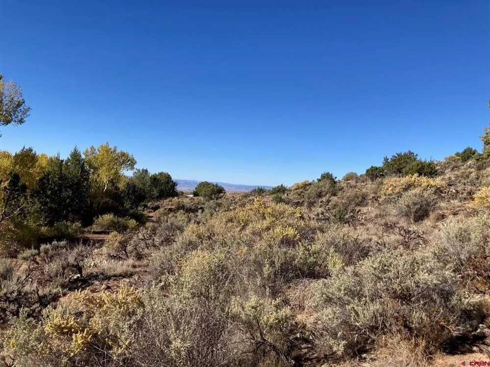 1590 SE 3rd Street Cedaredge, CO 81413
