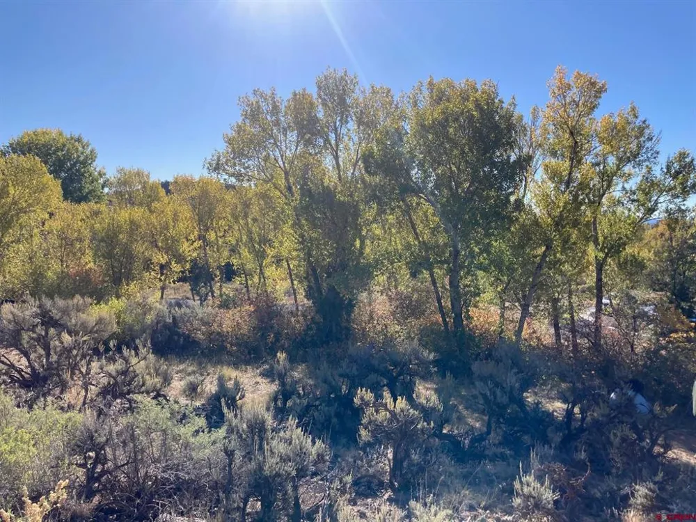 1590 SE 3rd Street Cedaredge, CO 81413