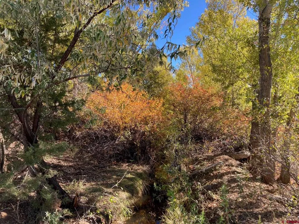 1590 SE 3rd Street Cedaredge, CO 81413
