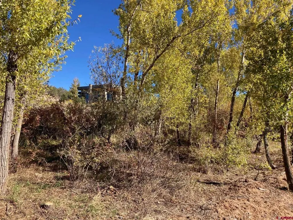 1590 SE 3rd Street Cedaredge, CO 81413