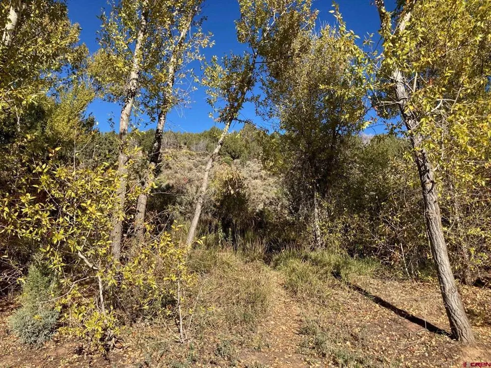 1590 SE 3rd Street Cedaredge, CO 81413