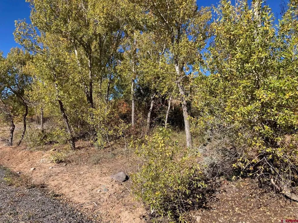 1590 SE 3rd Street Cedaredge, CO 81413