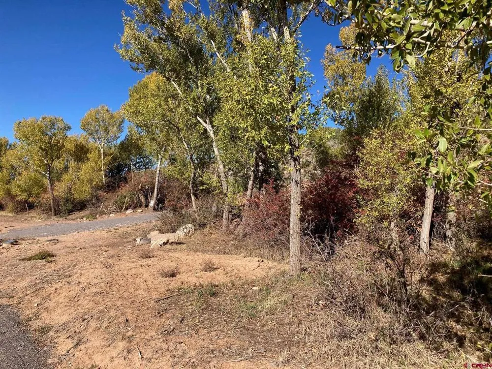1590 SE 3rd Street Cedaredge, CO 81413