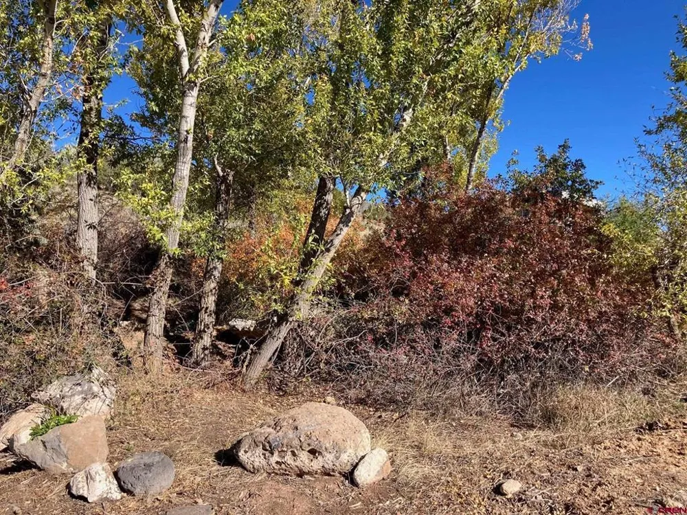 1590 SE 3rd Street Cedaredge, CO 81413