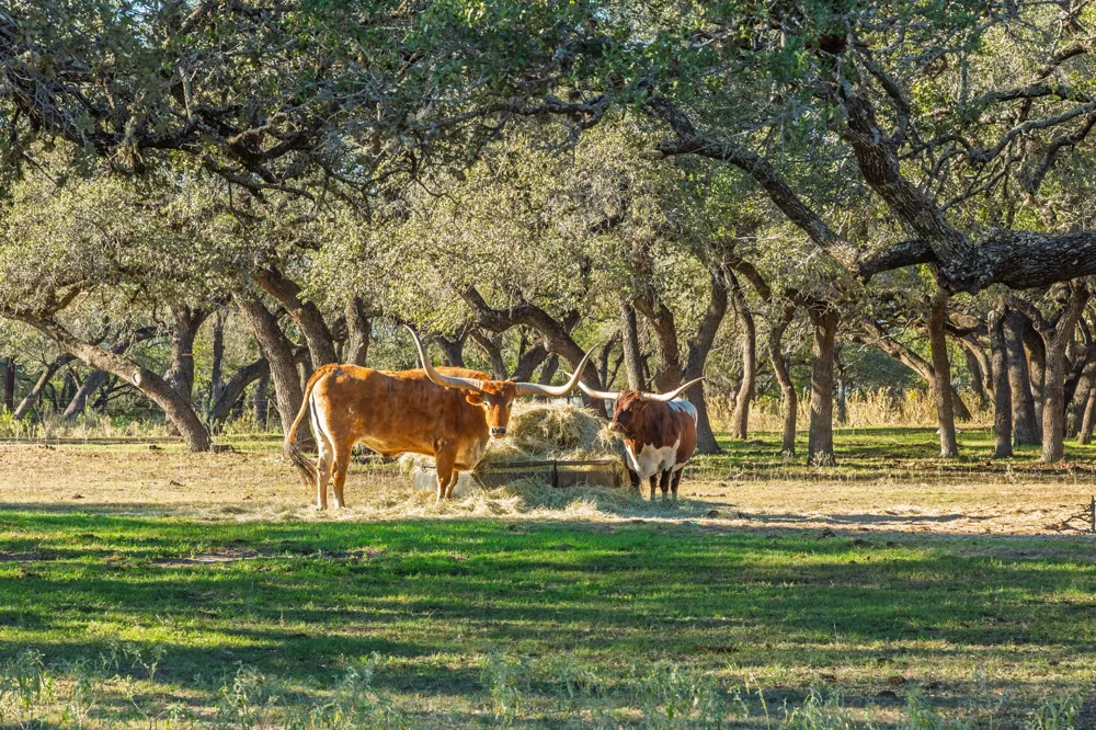 24105 Fm 1431 Marble Falls, TX 78654