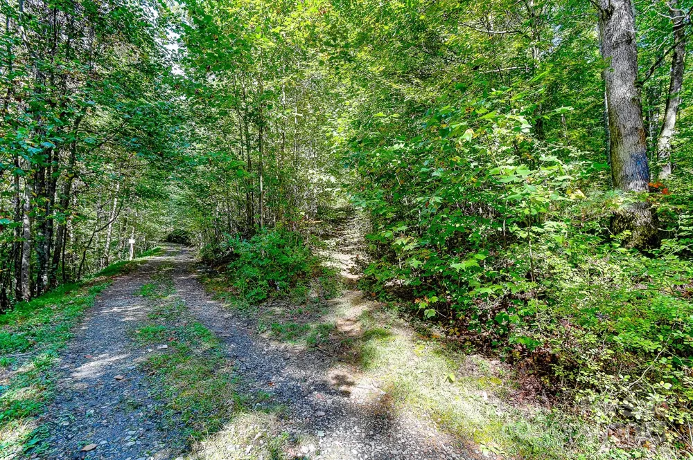 99999 Forest Brook Drive Black Mountain, NC 28711