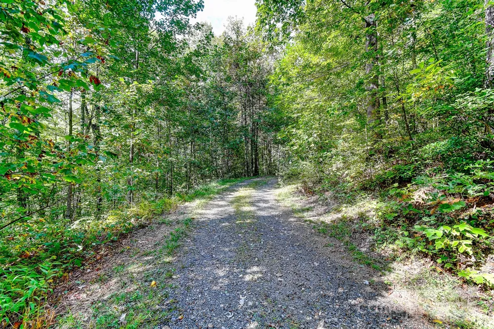 99999 Forest Brook Drive Black Mountain, NC 28711