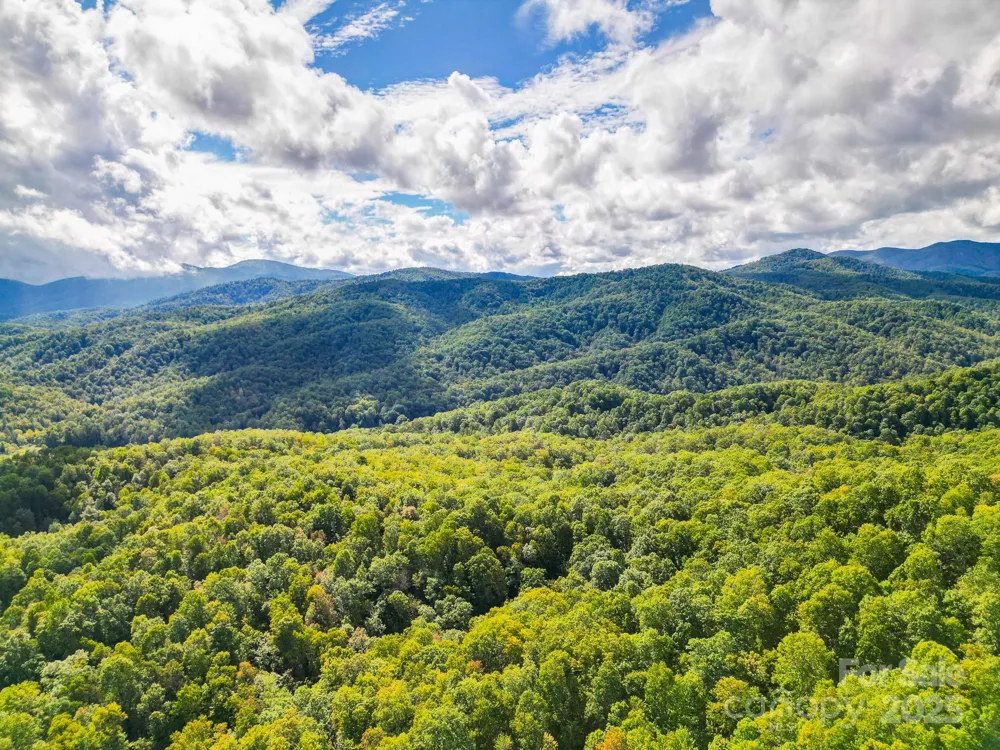 99999 Forest Brook Drive Black Mountain, NC 28711