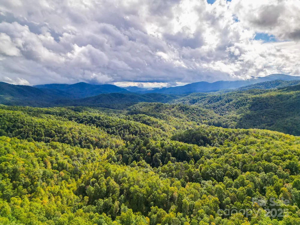 99999 Forest Brook Drive Black Mountain, NC 28711