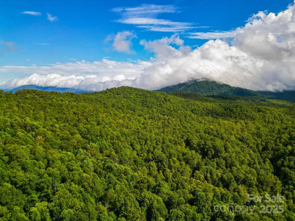 99999 Forest Brook Drive Black Mountain, NC 28711