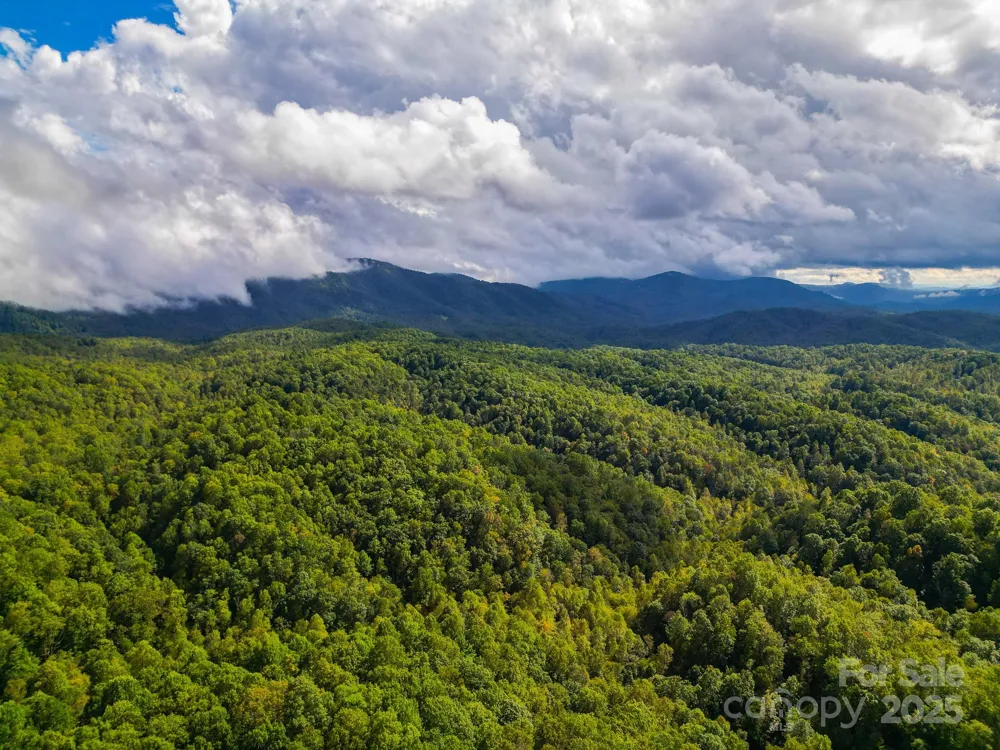 99999 Forest Brook Drive Black Mountain, NC 28711