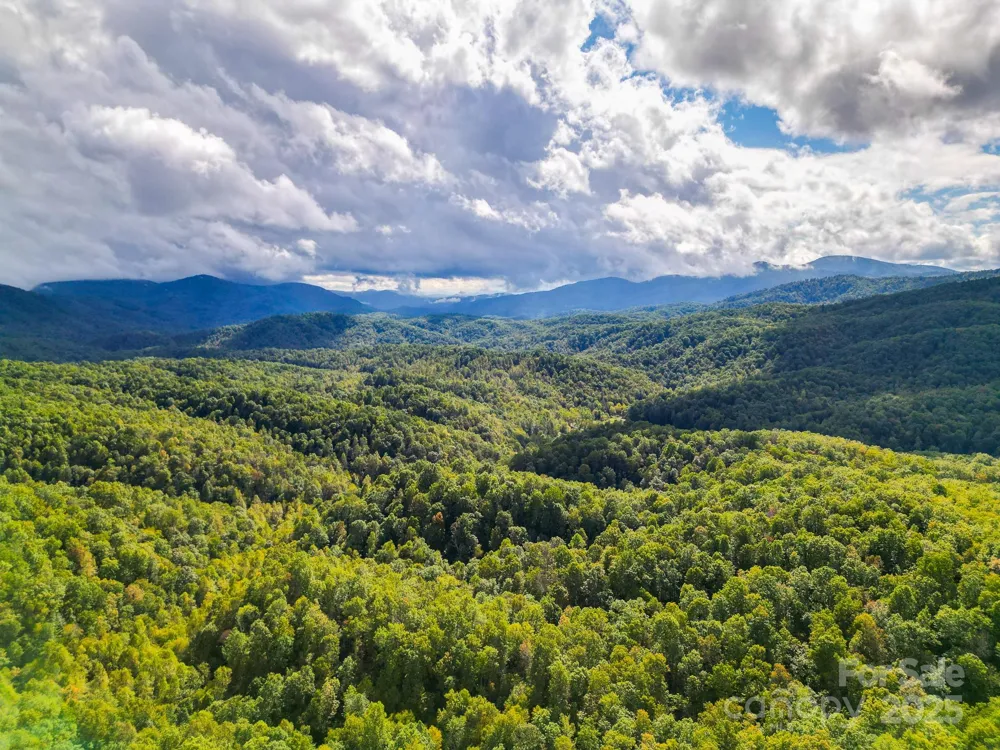 99999 Forest Brook Drive Black Mountain, NC 28711