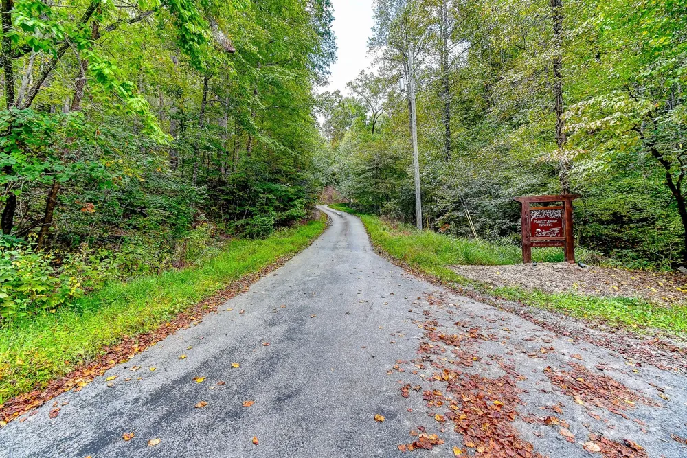 99999 Forest Brook Drive Black Mountain, NC 28711