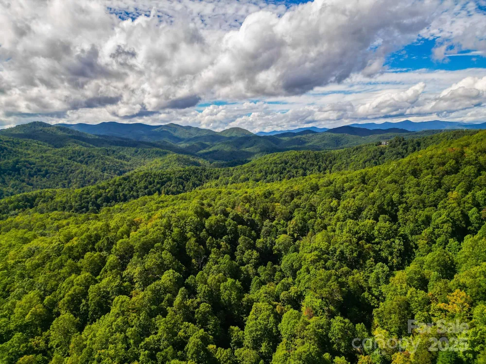 99999 Forest Brook Drive Black Mountain, NC 28711